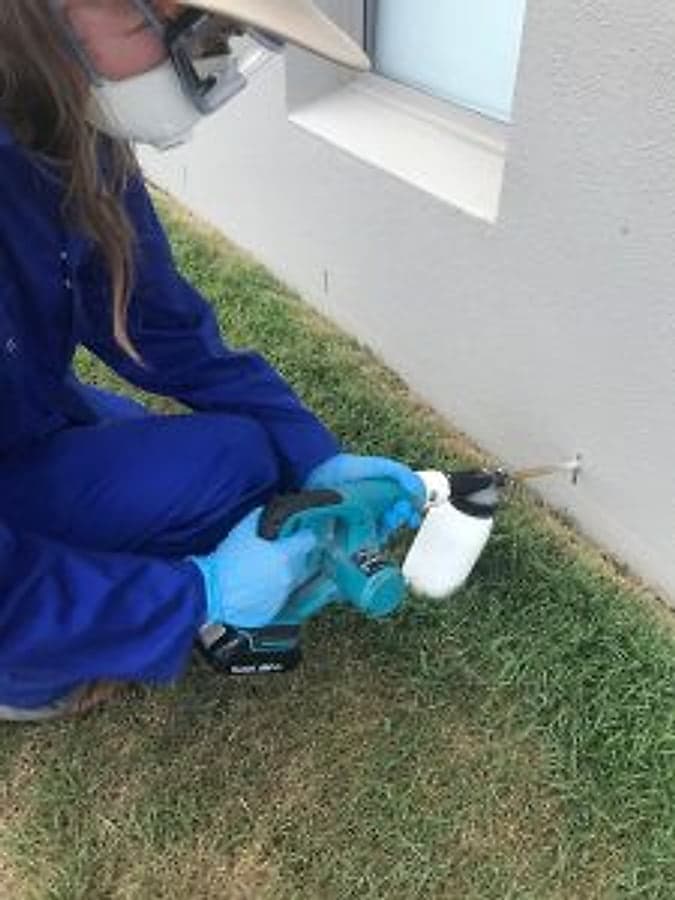 Bruin technician treating the exterior perimeter of a North Brisbane home
