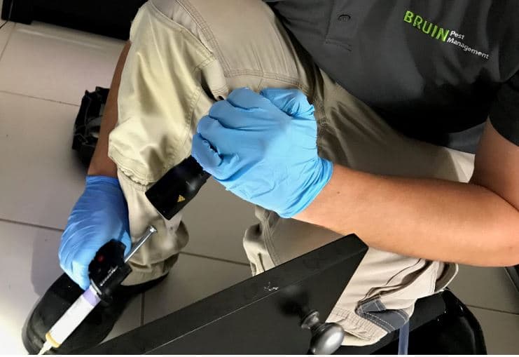 Bruin technician applying a targeted pest treatment at a Brisbane property