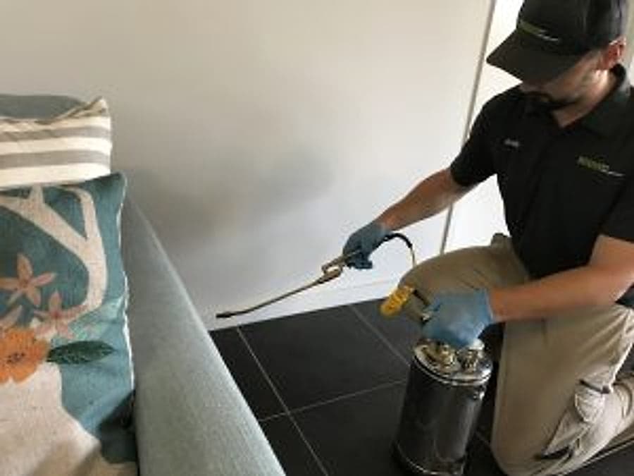 Bruin technician treating interior skirting during a general pest service