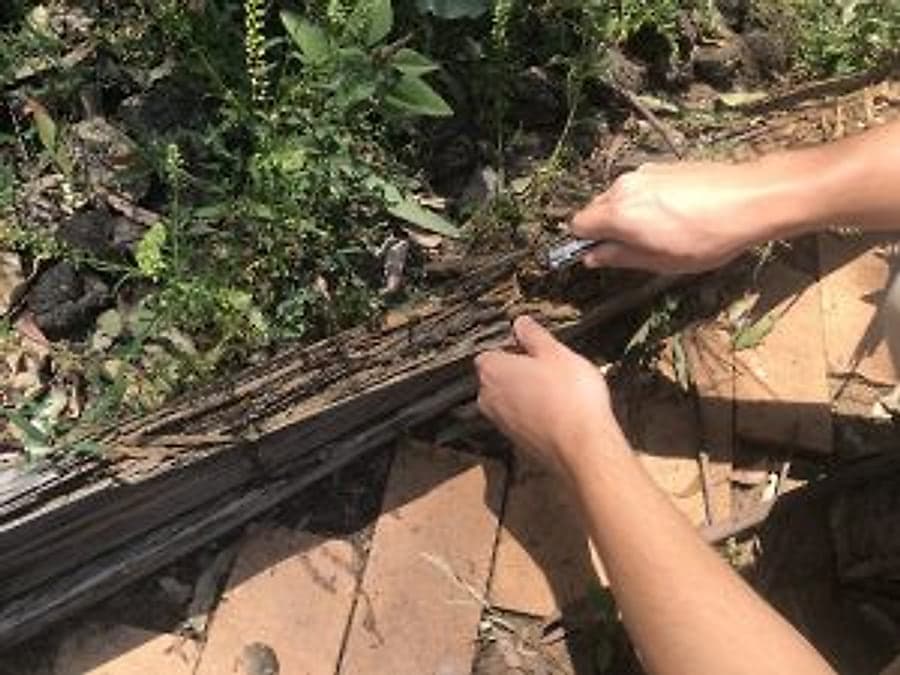 Subterranean termites found inside a timber sleeper during inspection