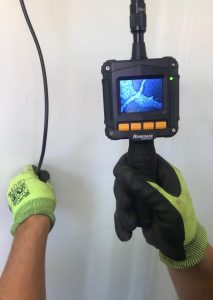 Termites Borescope Brisbane